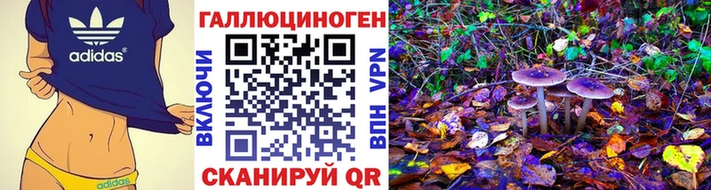 Галлюциногенные грибы Psilocybine cubensis  Юрьевец 